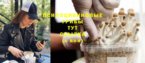 меф Вяземский